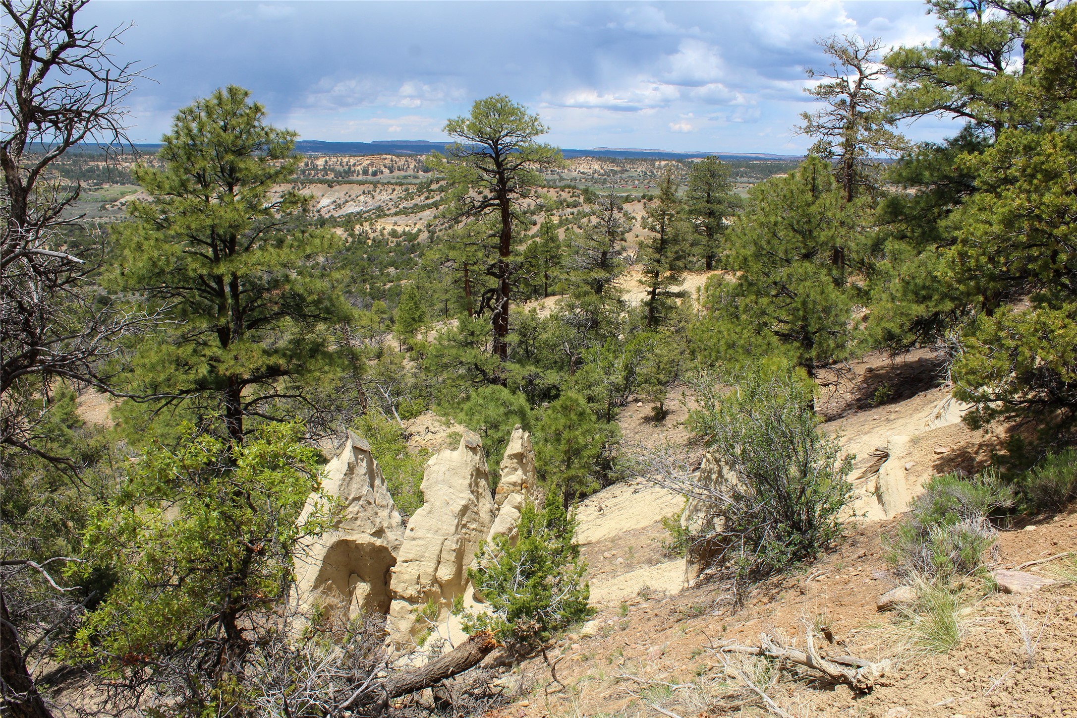 200 Vallecitos Rd, Cuba, New Mexico image 46