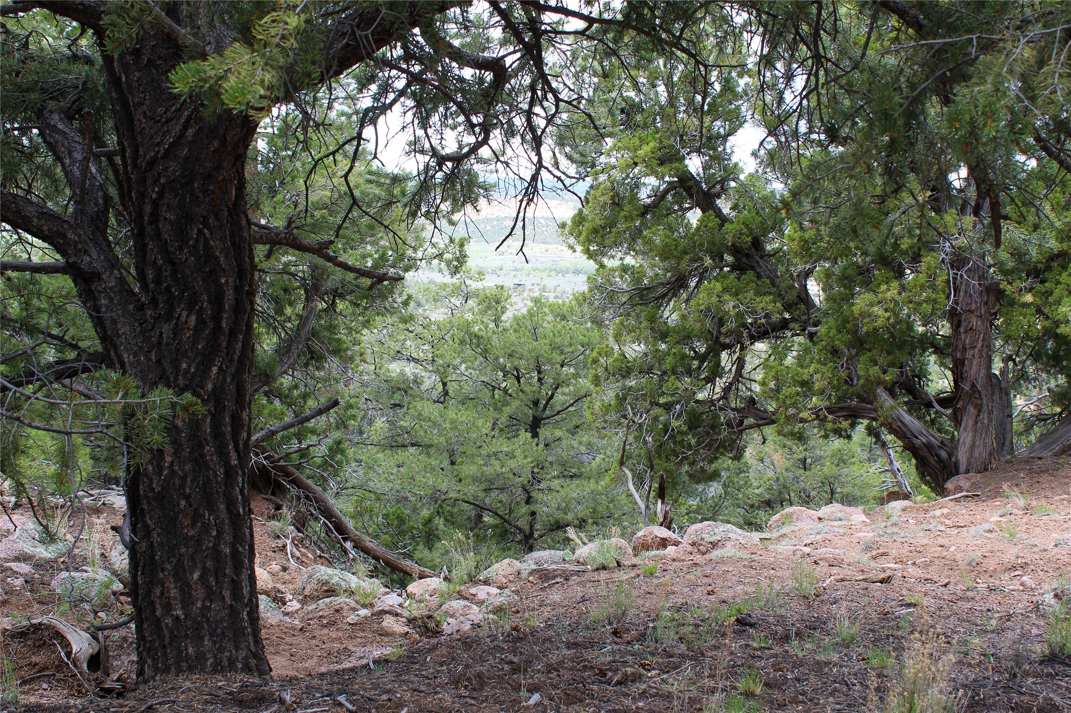 200 Vallecitos Rd, Cuba, New Mexico image 38