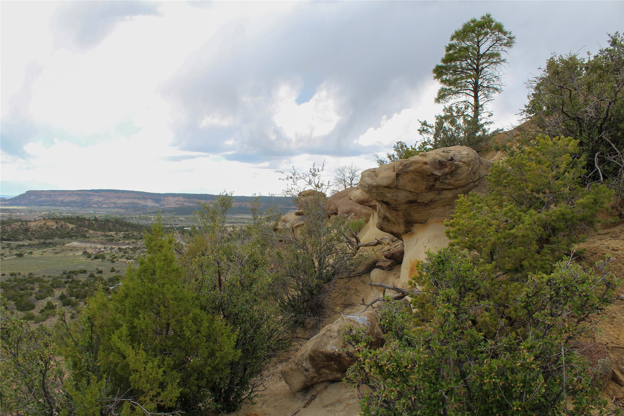 200 Vallecitos Rd, Cuba, New Mexico image 10