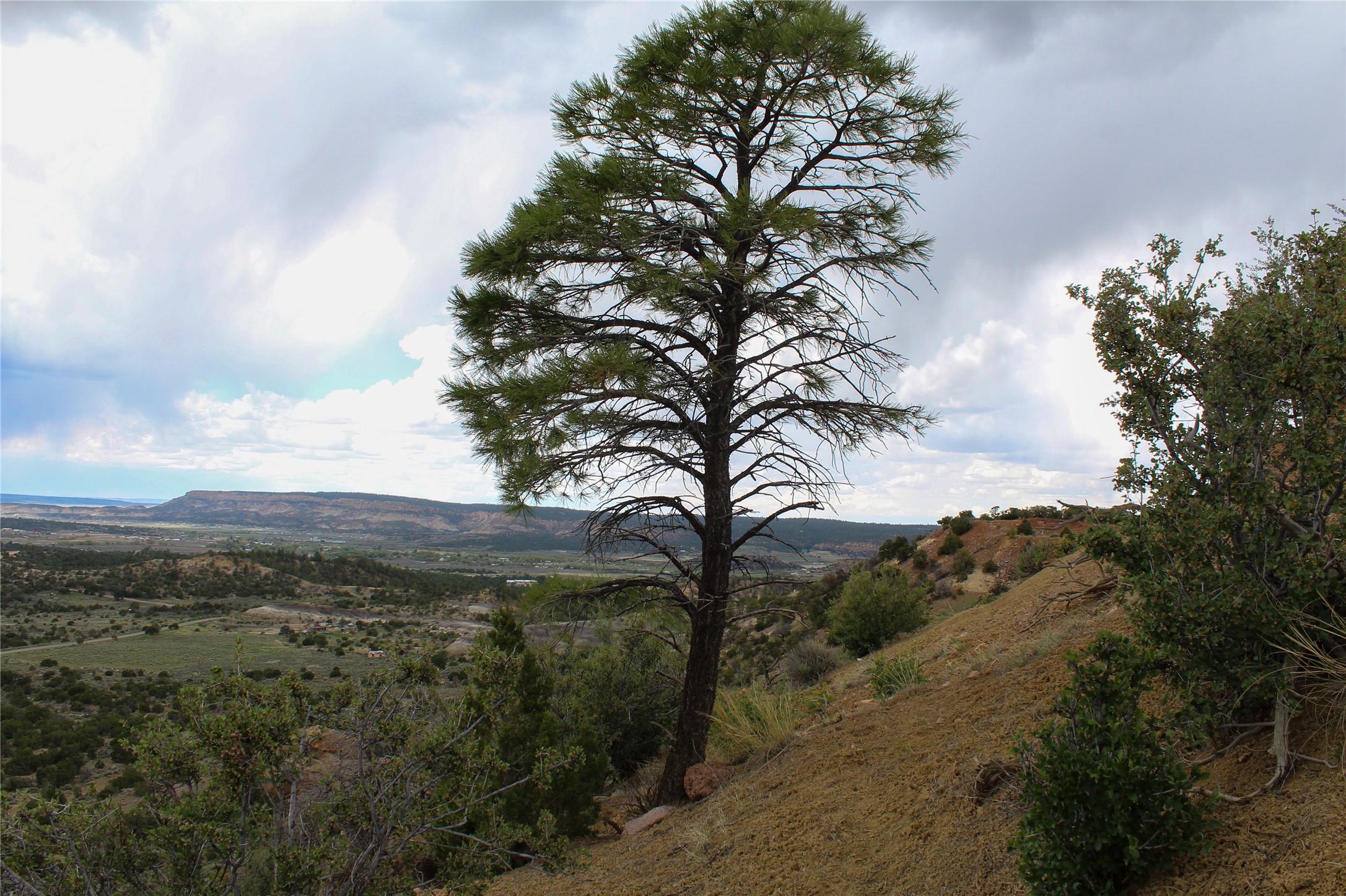 200 Vallecitos Rd, Cuba, New Mexico image 2