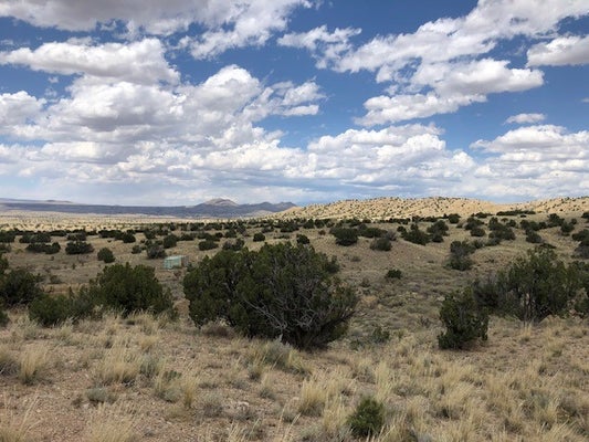460 CAMINO CERRO CHATO, CERRILLOS, NM 87010 - Image e8615cd728fefeb92f36d47f08e8e520/662306549