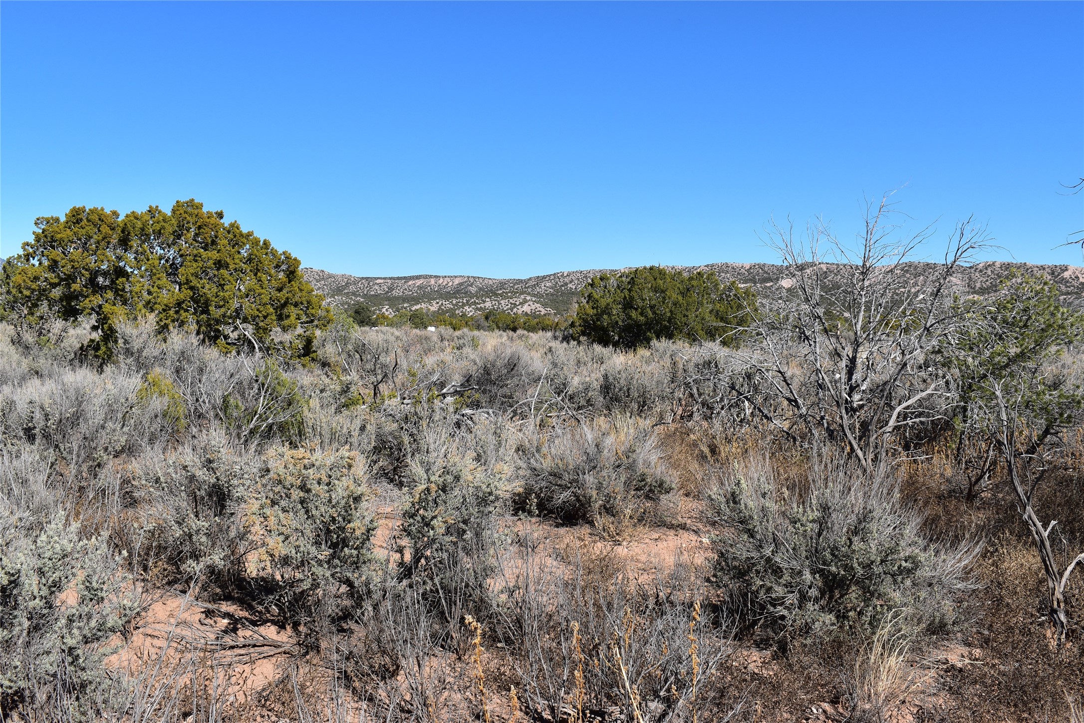 TBD Pd 1684 A, El Rito, New Mexico image 7