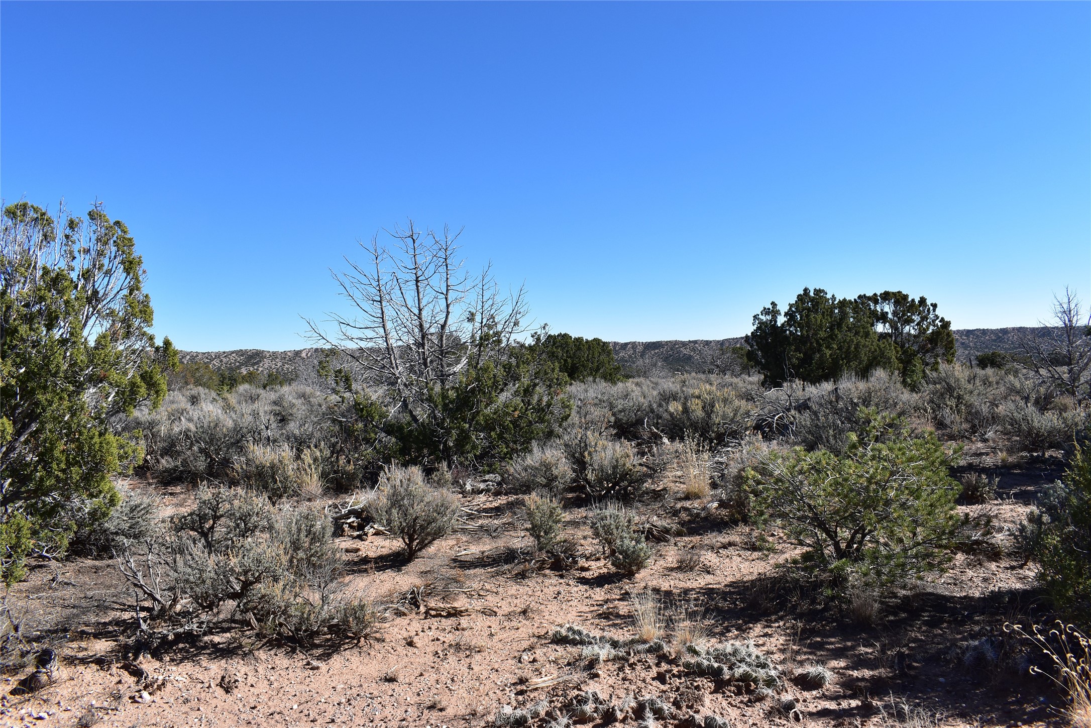 TBD Pd 1684 A, El Rito, New Mexico image 4