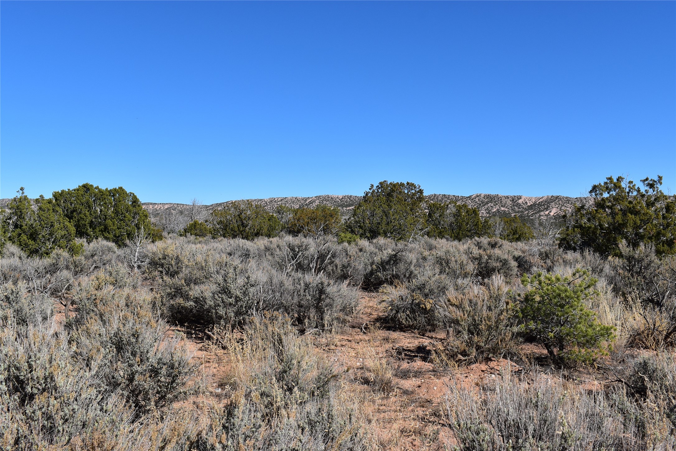 TBD Pd 1684 A, El Rito, New Mexico image 5