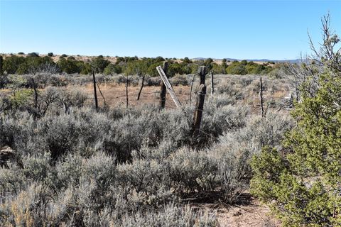 Vacant Land For Sale - TBD Pd 1684 A<br/> Rio Arriba County, El Rito, NM 87530
