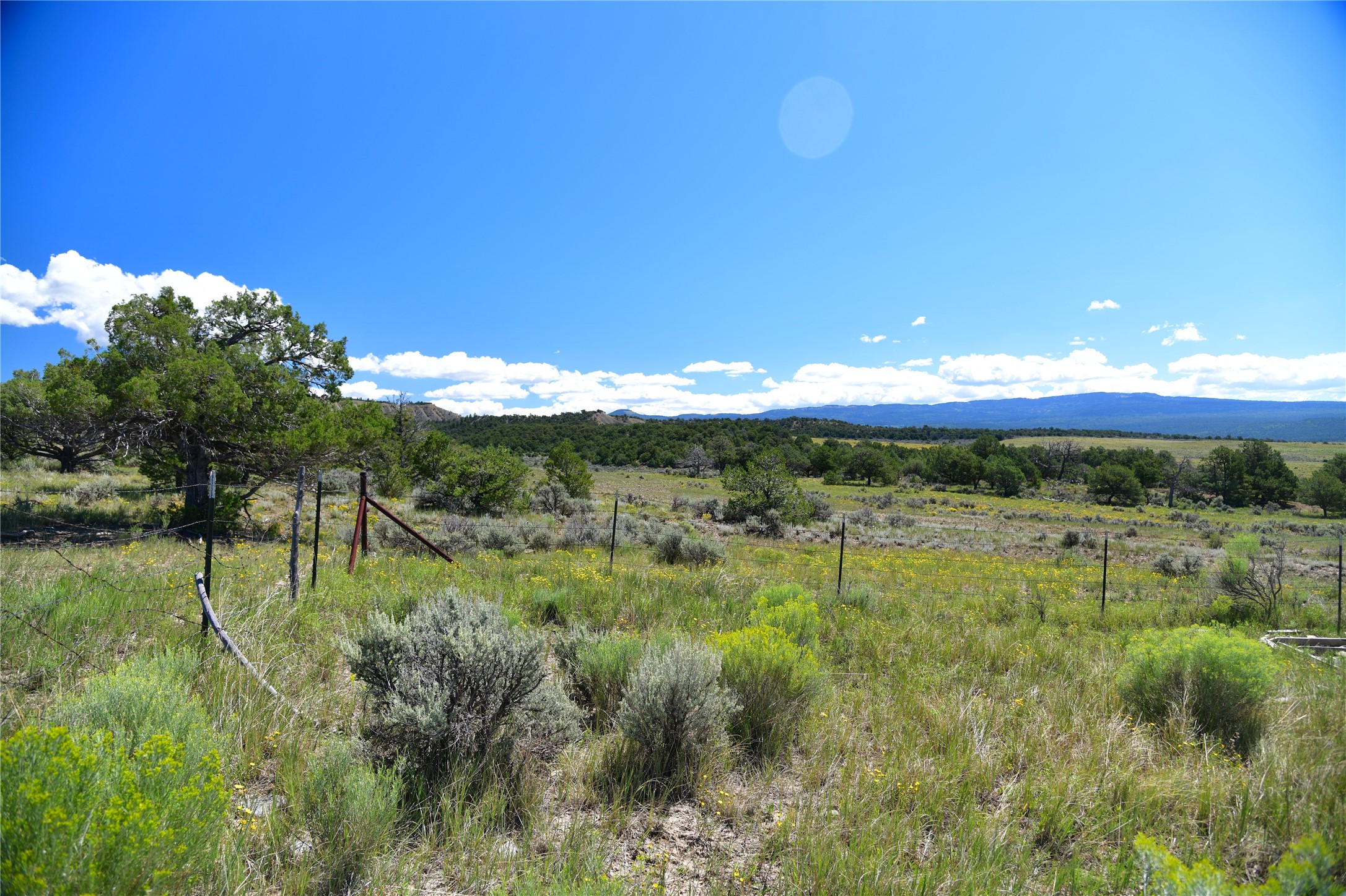 Woodall Ranch Hwy 84/64, Tierra Amarilla, New Mexico image 11
