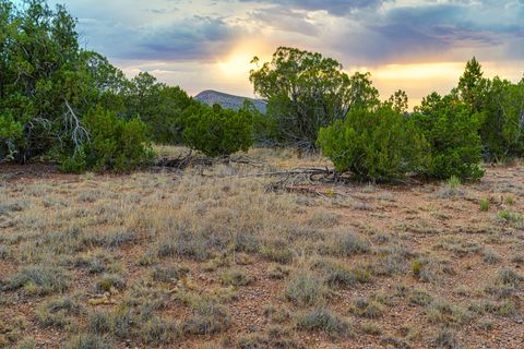 Tiny photo for 176 Wagon Trail Rd, Cerrillos, NM 87010 (MLS # 202340220)