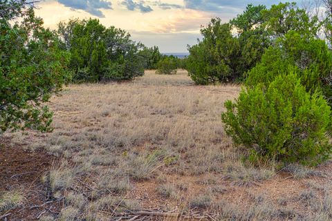 Tiny photo for 176 Wagon Trail Rd, Cerrillos, NM 87010 (MLS # 202340220)