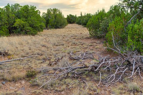 Tiny photo for 176 Wagon Trail Rd, Cerrillos, NM 87010 (MLS # 202340220)