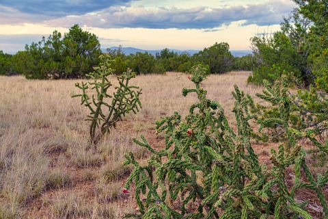 Tiny photo for 176 Wagon Trail Rd, Cerrillos, NM 87010 (MLS # 202340220)