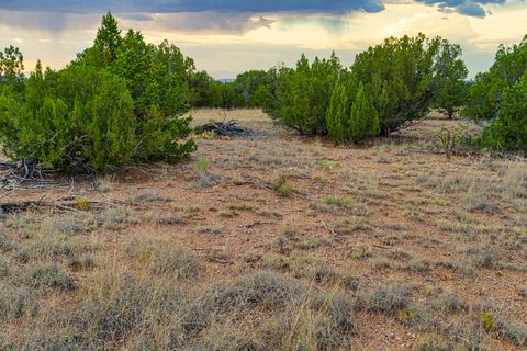 Tiny photo for 176 Wagon Trail Rd, Cerrillos, NM 87010 (MLS # 202340220)