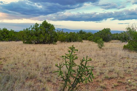 Tiny photo for 176 Wagon Trail Rd, Cerrillos, NM 87010 (MLS # 202340220)