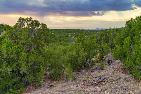 Tiny photo for 176 Wagon Trail Rd, Cerrillos, NM 87010 (MLS # 202340220)