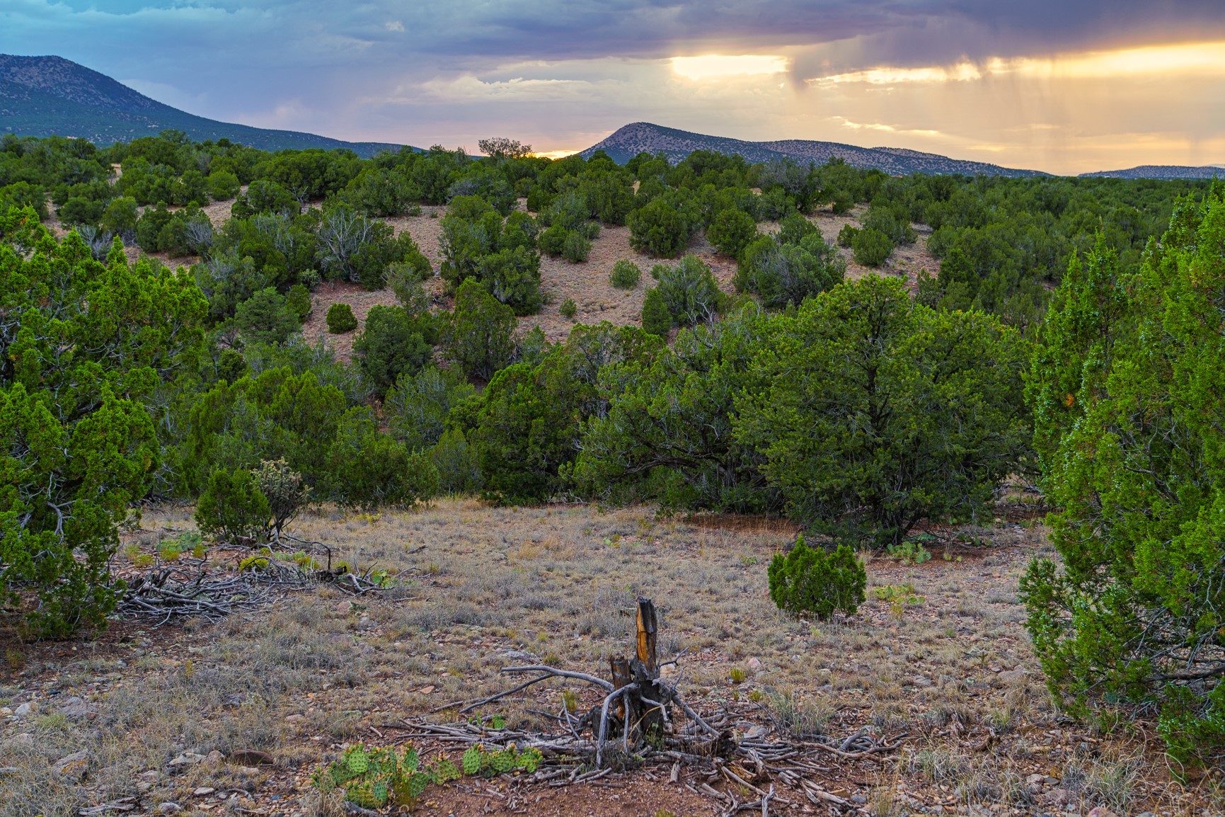 176 Wagon Trail Rd, Cerrillos, New Mexico image 22