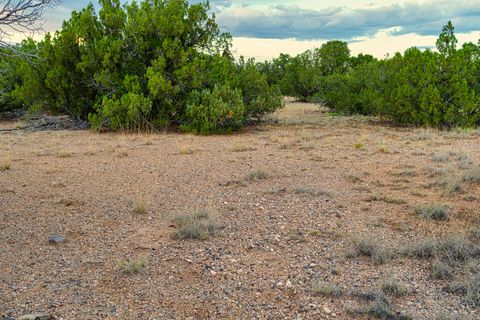 Tiny photo for 176 Wagon Trail Rd, Cerrillos, NM 87010 (MLS # 202340220)