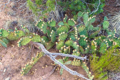 Tiny photo for 176 Wagon Trail Rd, Cerrillos, NM 87010 (MLS # 202340220)