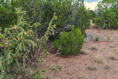 Tiny photo for 176 Wagon Trail Rd, Cerrillos, NM 87010 (MLS # 202340220)