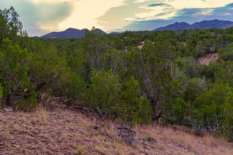 Tiny photo for 176 Wagon Trail Rd, Cerrillos, NM 87010 (MLS # 202340220)