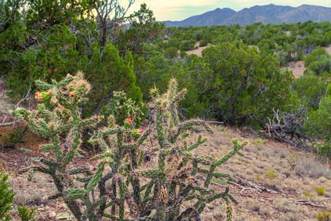 Tiny photo for 176 Wagon Trail Rd, Cerrillos, NM 87010 (MLS # 202340220)