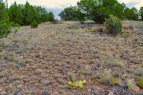 Tiny photo for 176 Wagon Trail Rd, Cerrillos, NM 87010 (MLS # 202340220)