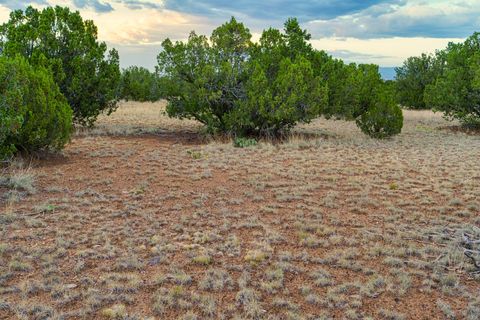 Tiny photo for 176 Wagon Trail Rd, Cerrillos, NM 87010 (MLS # 202340220)