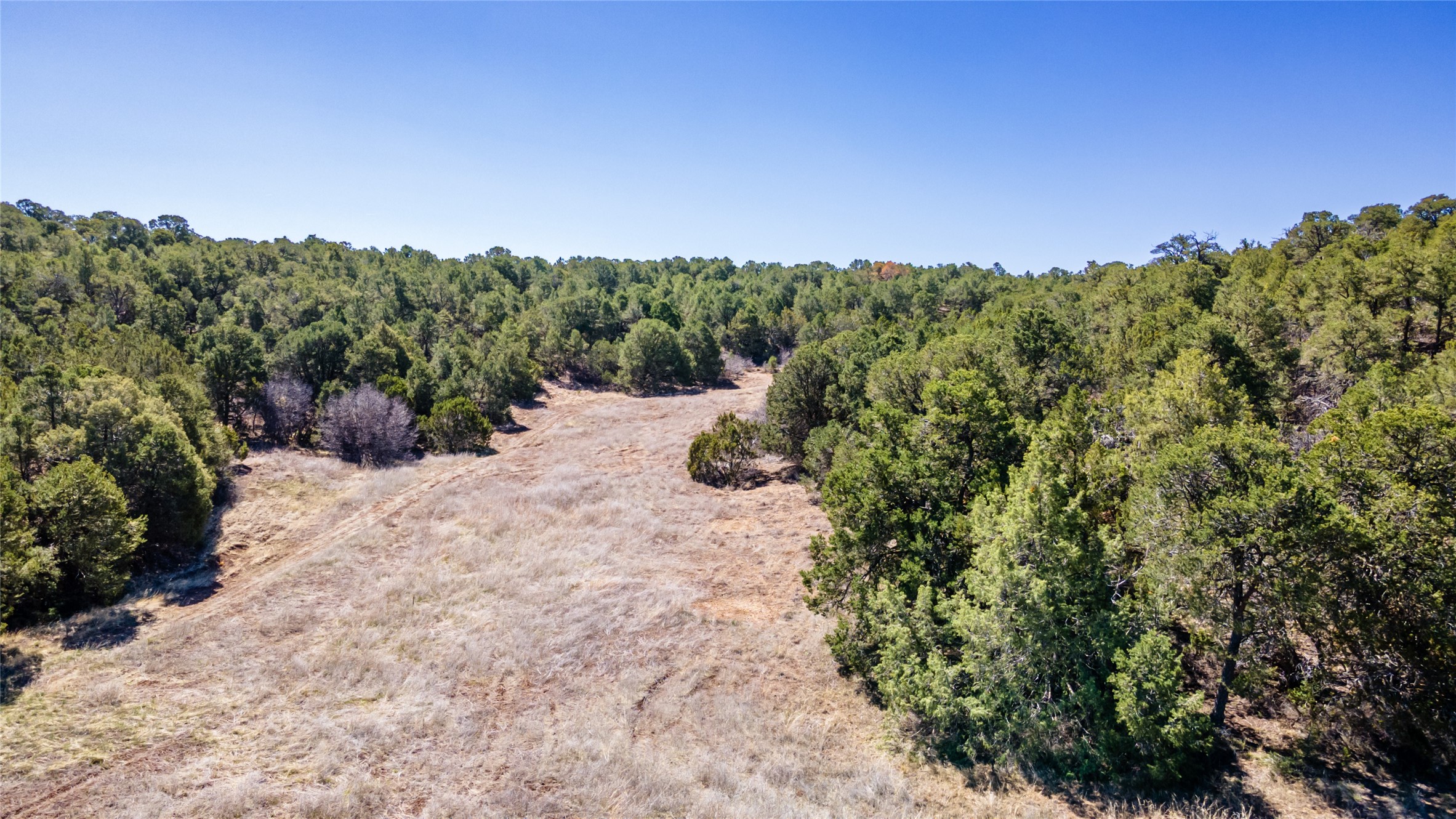 Sedillo Hill Road, Tijeras, New Mexico image 8