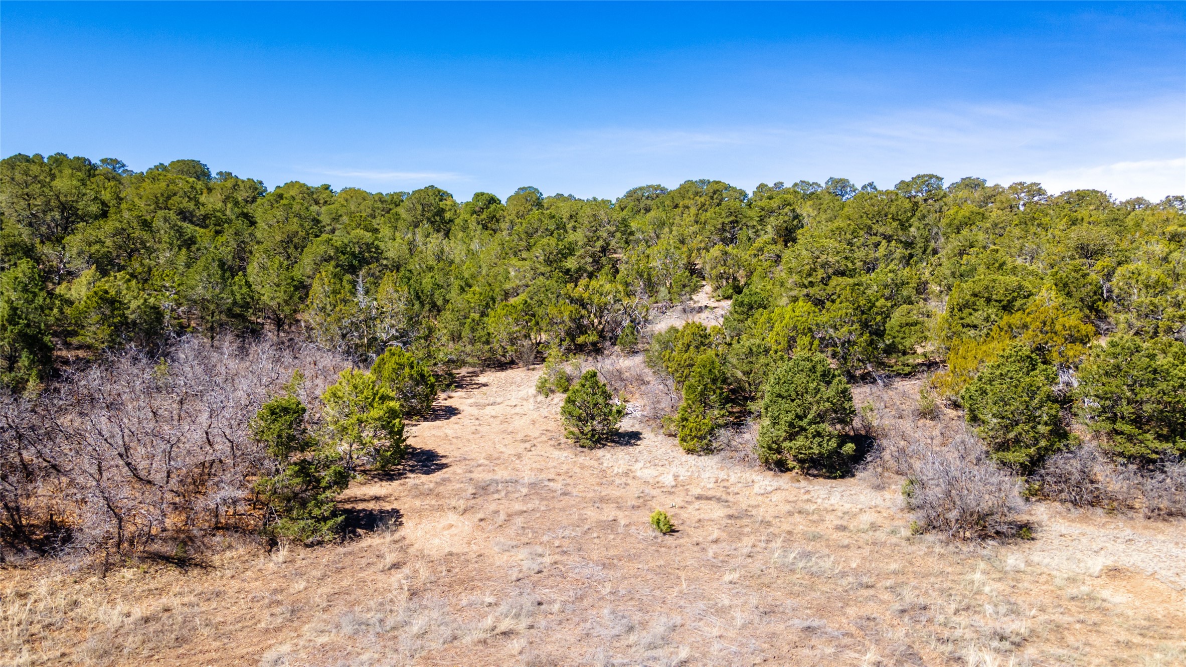 Sedillo Hill Road, Tijeras, New Mexico image 9