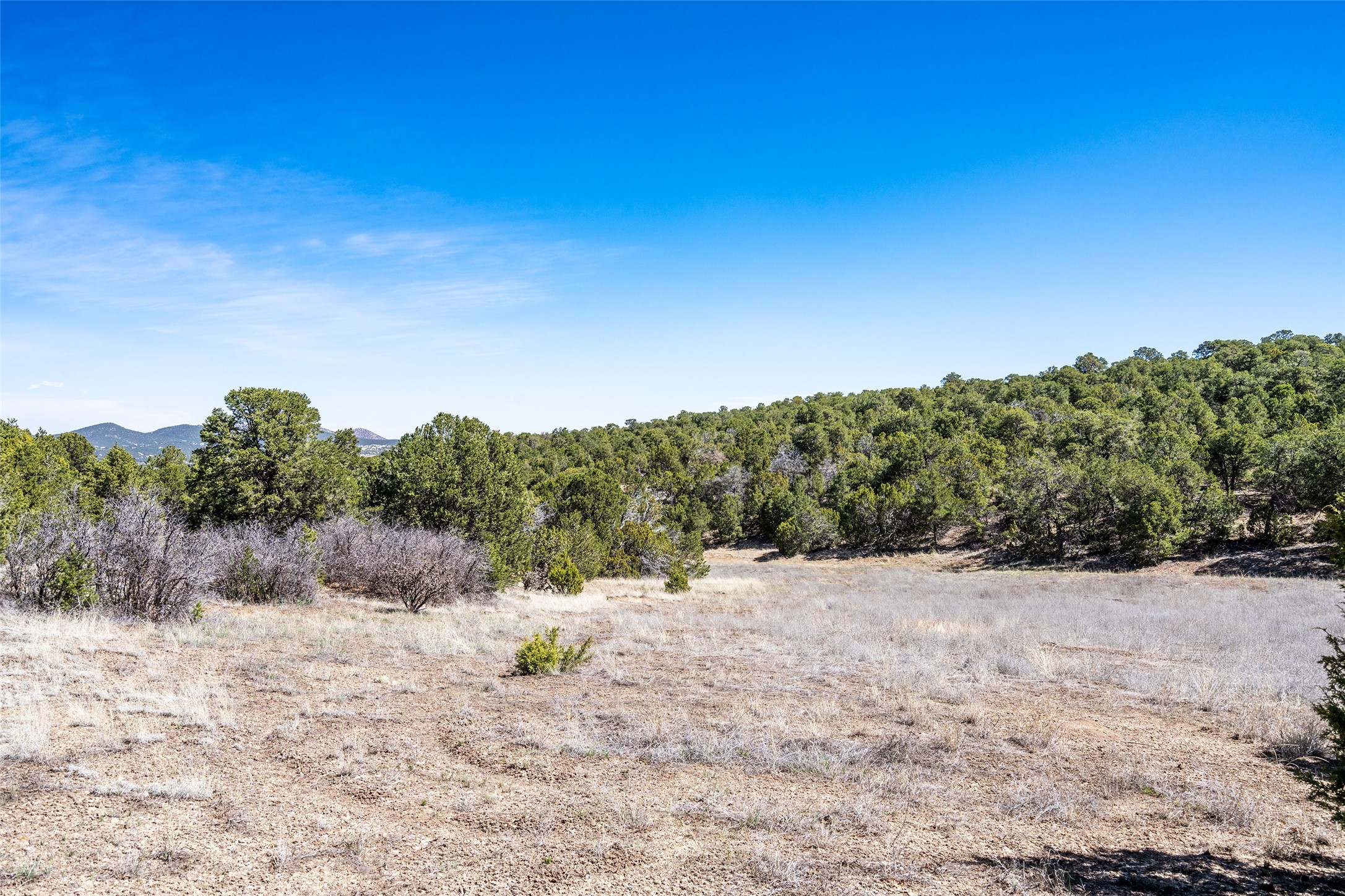 Sedillo Hill Road, Tijeras, New Mexico image 22