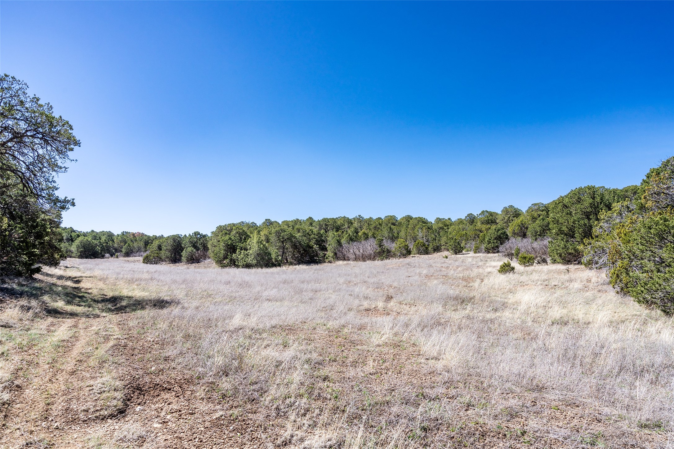 Sedillo Hill Road, Tijeras, New Mexico image 21