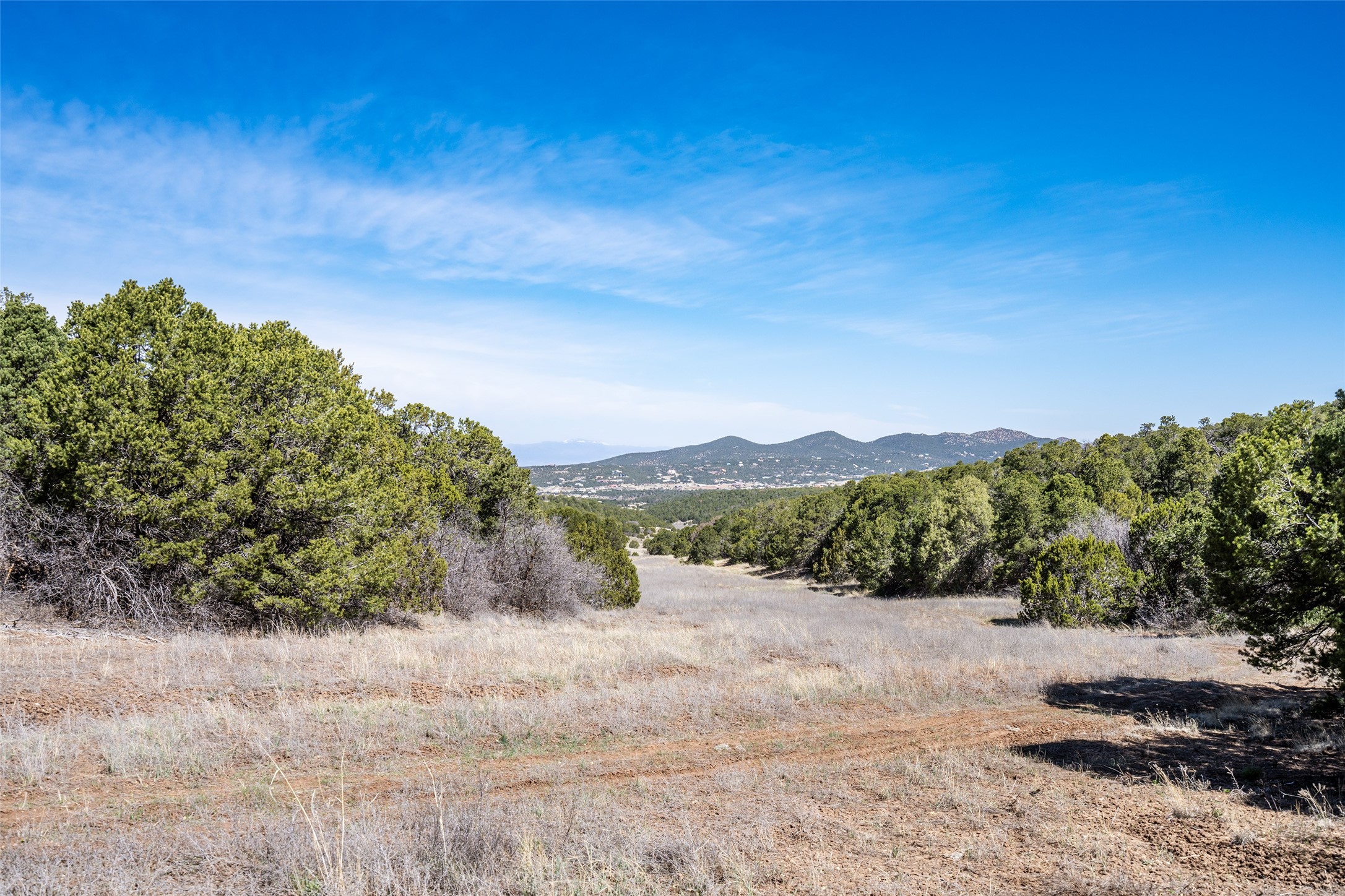 Sedillo Hill Road, Tijeras, New Mexico image 19