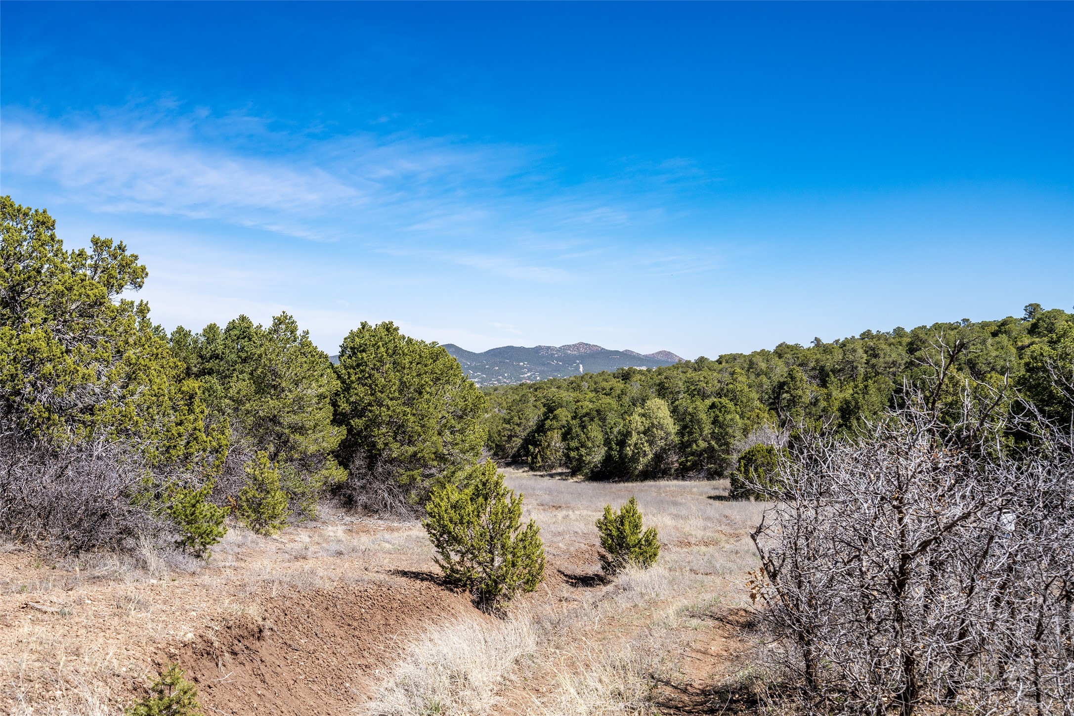 Sedillo Hill Road, Tijeras, New Mexico image 18