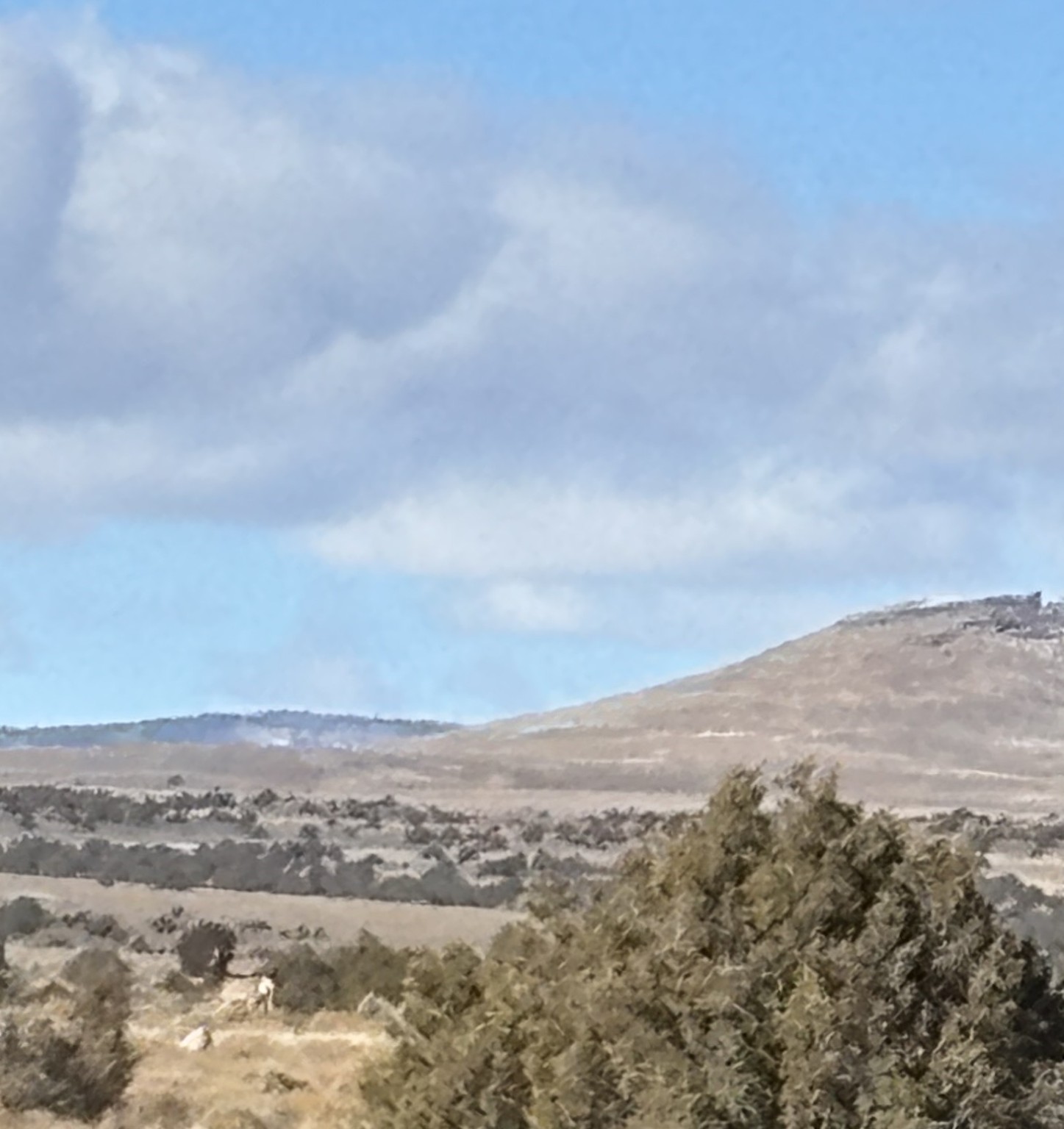 TBD Highway 285, Tres Piedras, New Mexico image 2