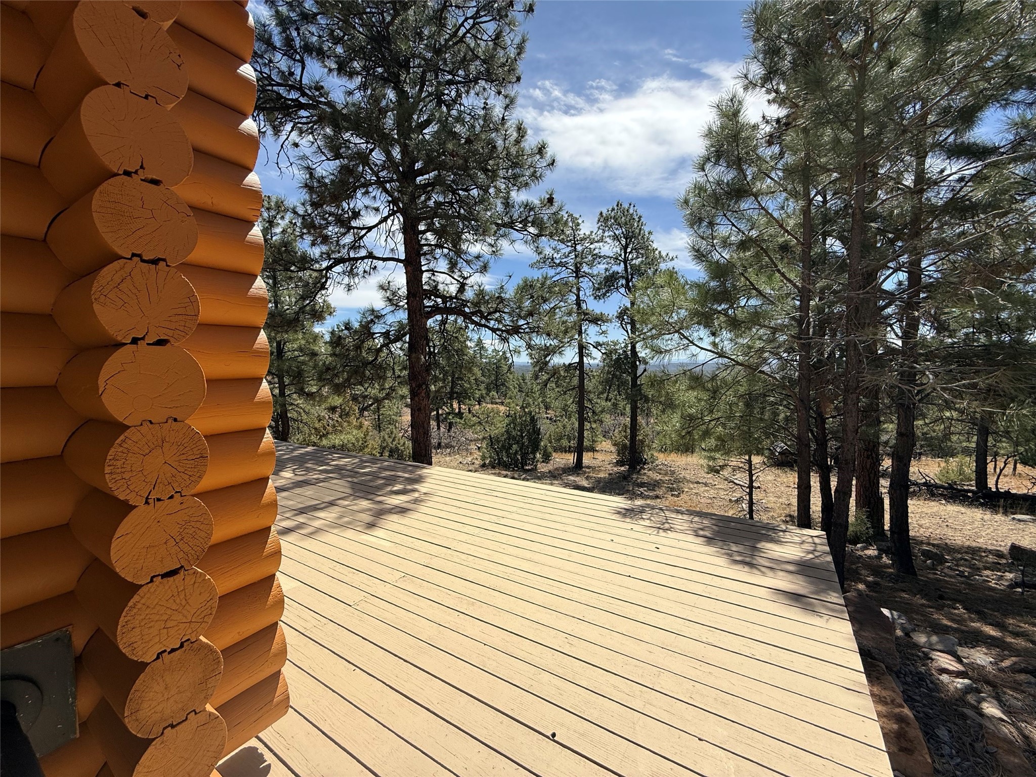 20 Ripp Road, Los Ojos, New Mexico image 11