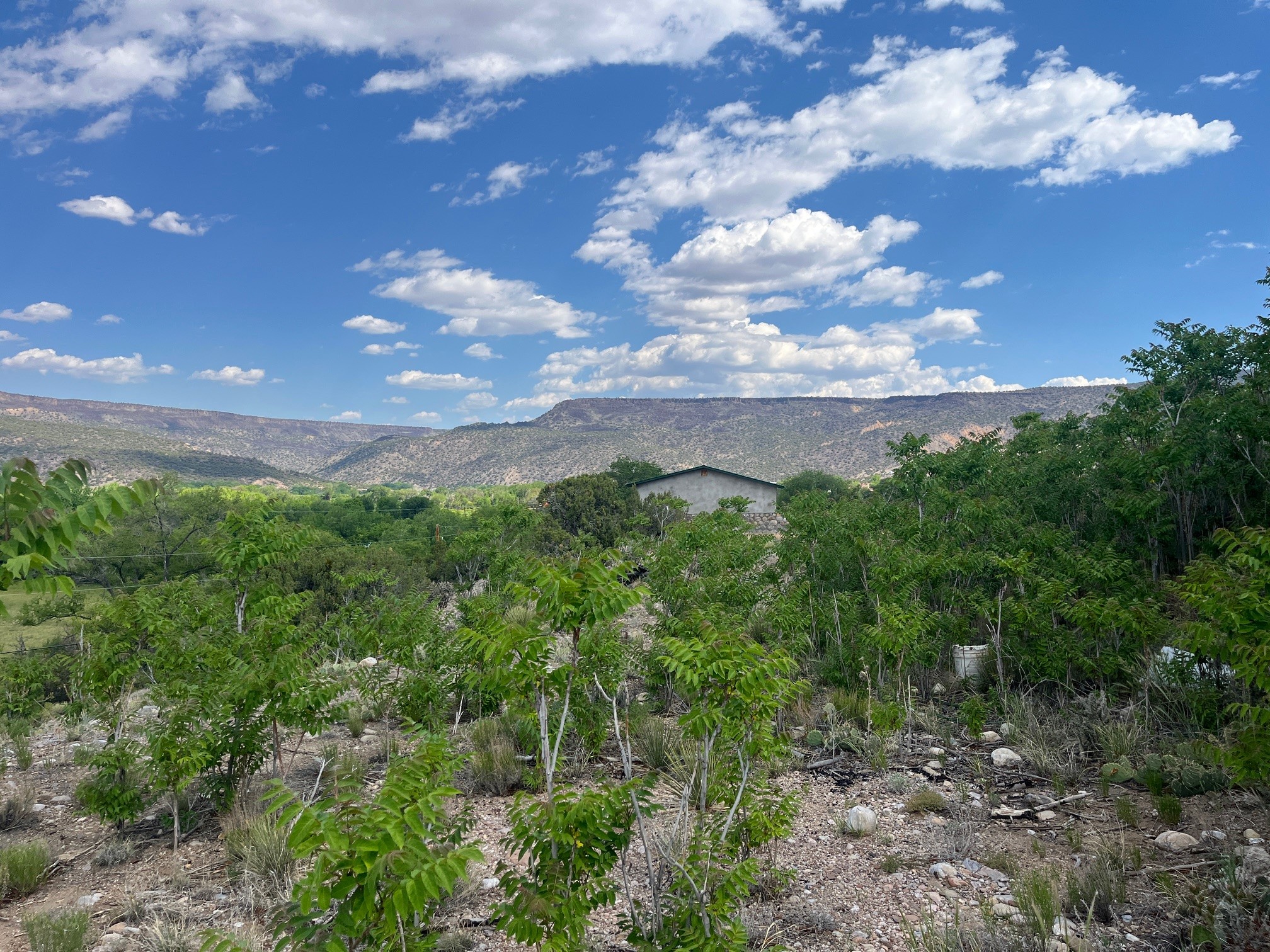 1378 State Rd 68, Velarde, New Mexico image 5