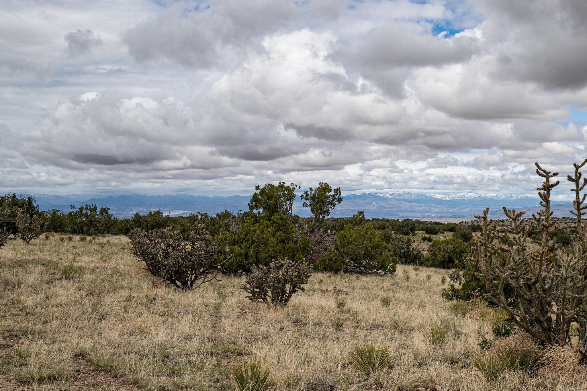 28 Cliff View Drive Dr, Cerrillos, New Mexico image 33