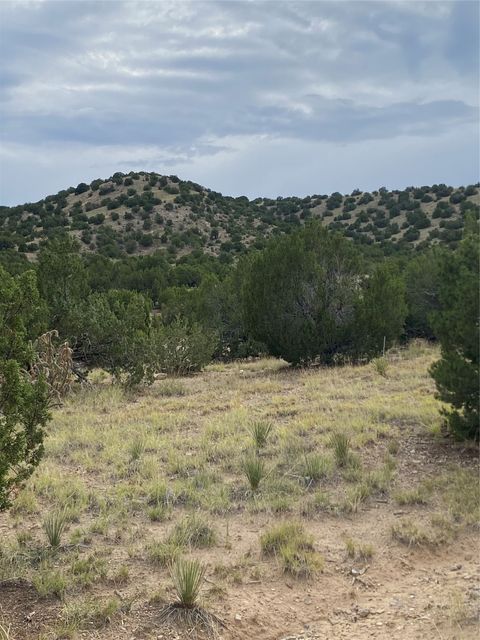 Tiny photo for 44 Goldmine Rd #A, Cerrillos, NM 87010 (MLS # 202503346)