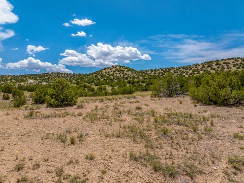 Tiny photo for 44 Goldmine Rd #A, Cerrillos, NM 87010 (MLS # 202503346)