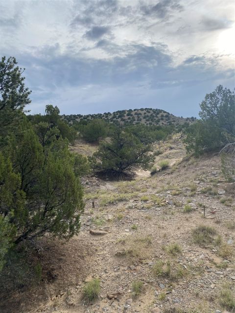 Tiny photo for 44 Goldmine Rd #A, Cerrillos, NM 87010 (MLS # 202503346)