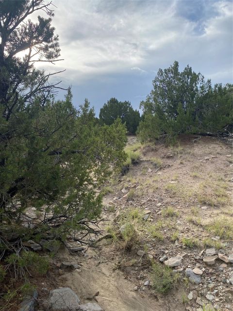 Tiny photo for 44 Goldmine Rd #A, Cerrillos, NM 87010 (MLS # 202503346)