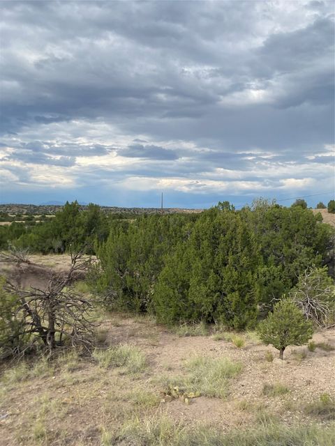 Tiny photo for 44 Goldmine Rd #A, Cerrillos, NM 87010 (MLS # 202503346)