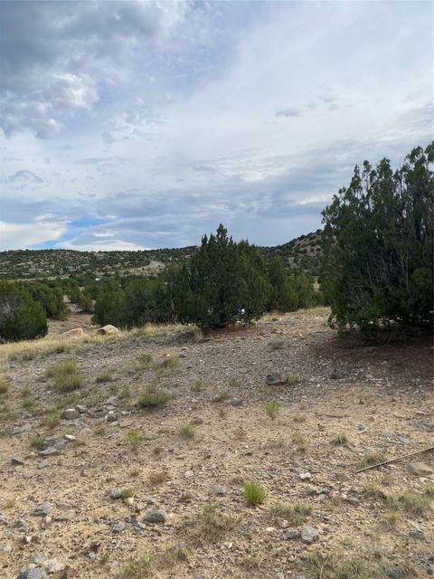 Tiny photo for 44 Goldmine Rd #A, Cerrillos, NM 87010 (MLS # 202503346)