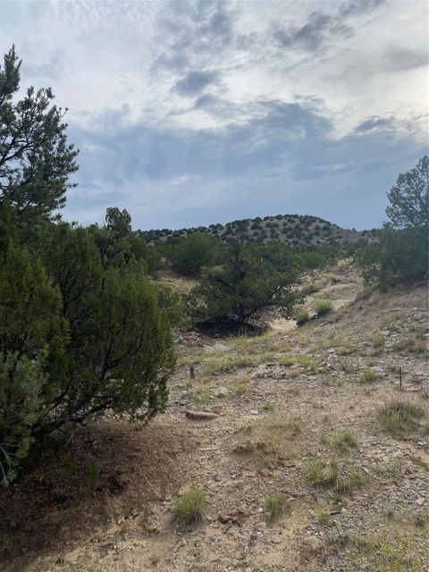 Tiny photo for 44 Goldmine Rd #A, Cerrillos, NM 87010 (MLS # 202503346)
