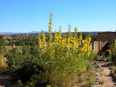 Photo of 44 Goldmine Rd #A, Cerrillos, NM 87010 (MLS # 202503346)