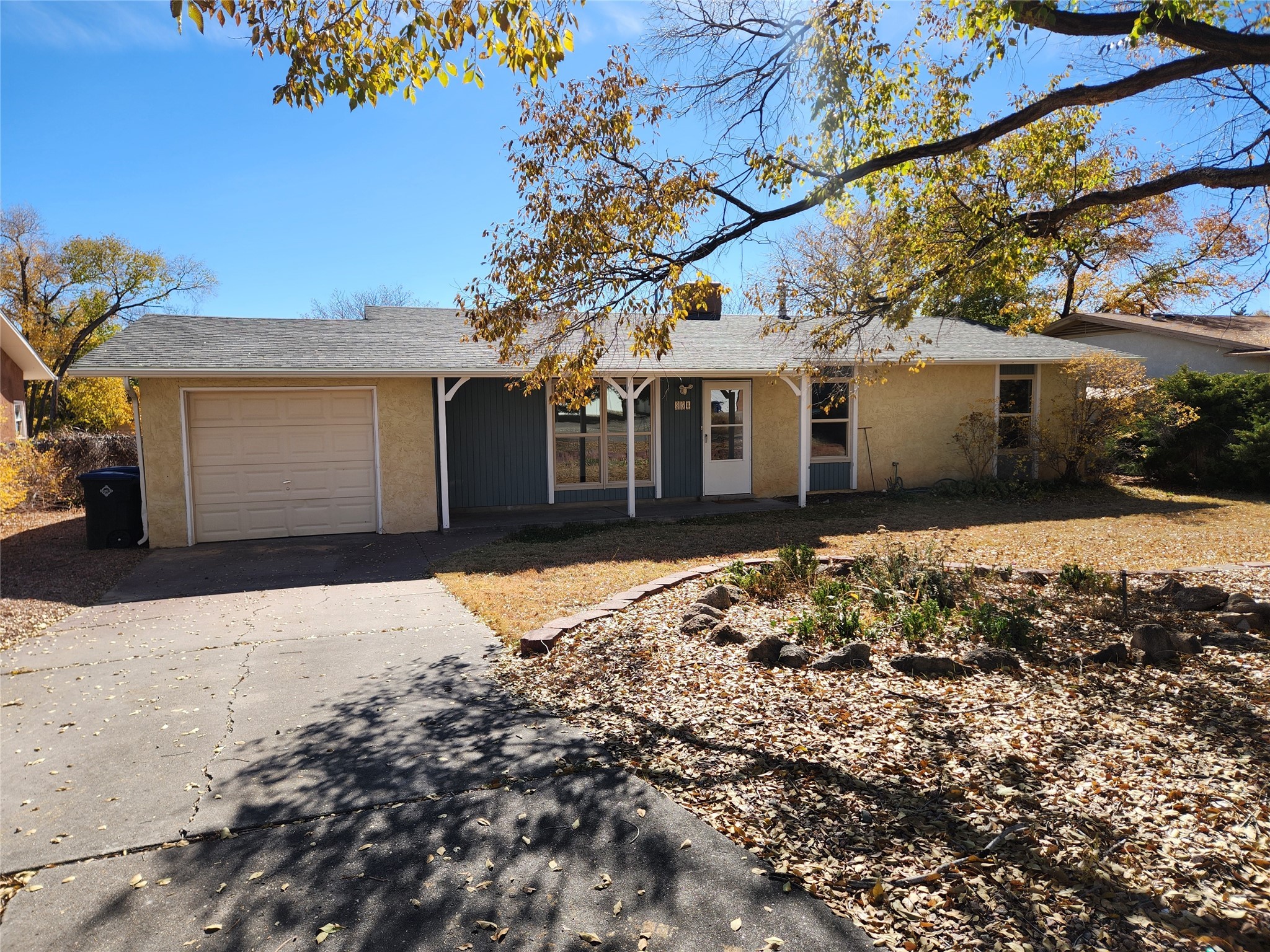 358 Joya Loop