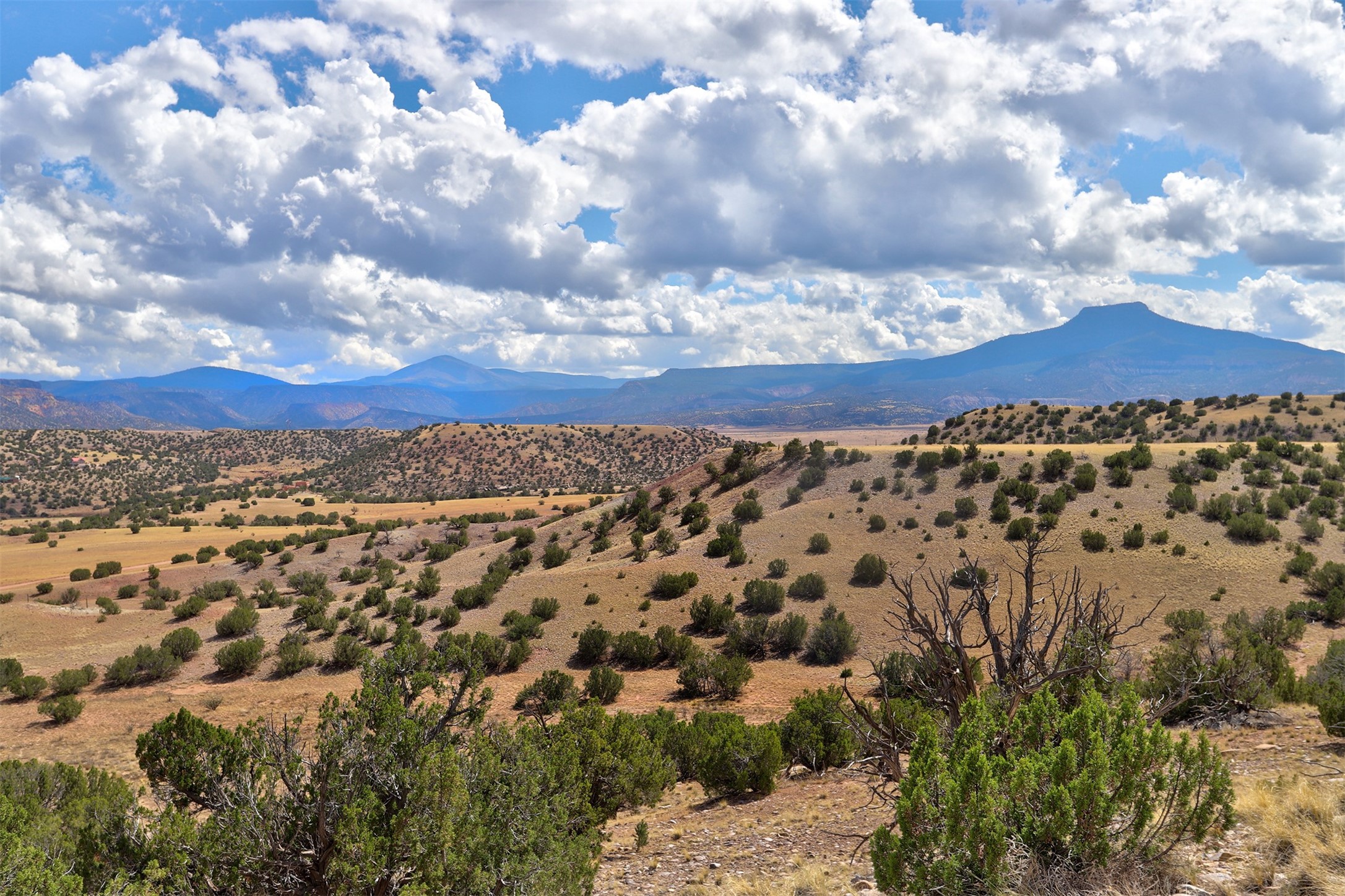 Lot 18 High Mesas At Abiquiu  16.74 Acres, Youngsville, New Mexico image 3