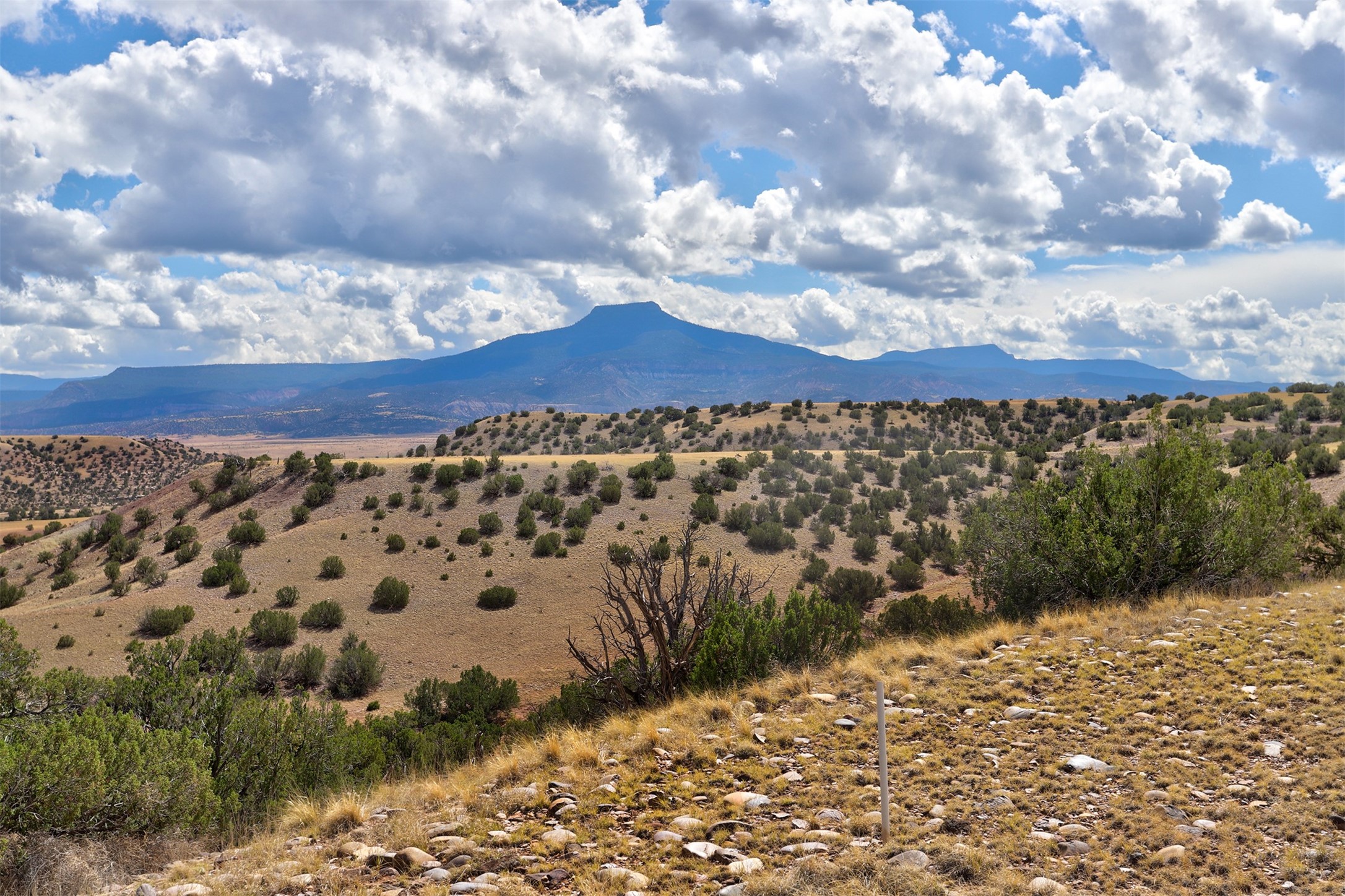 Lot 18 High Mesas At Abiquiu  16.74 Acres, Youngsville, New Mexico image 7