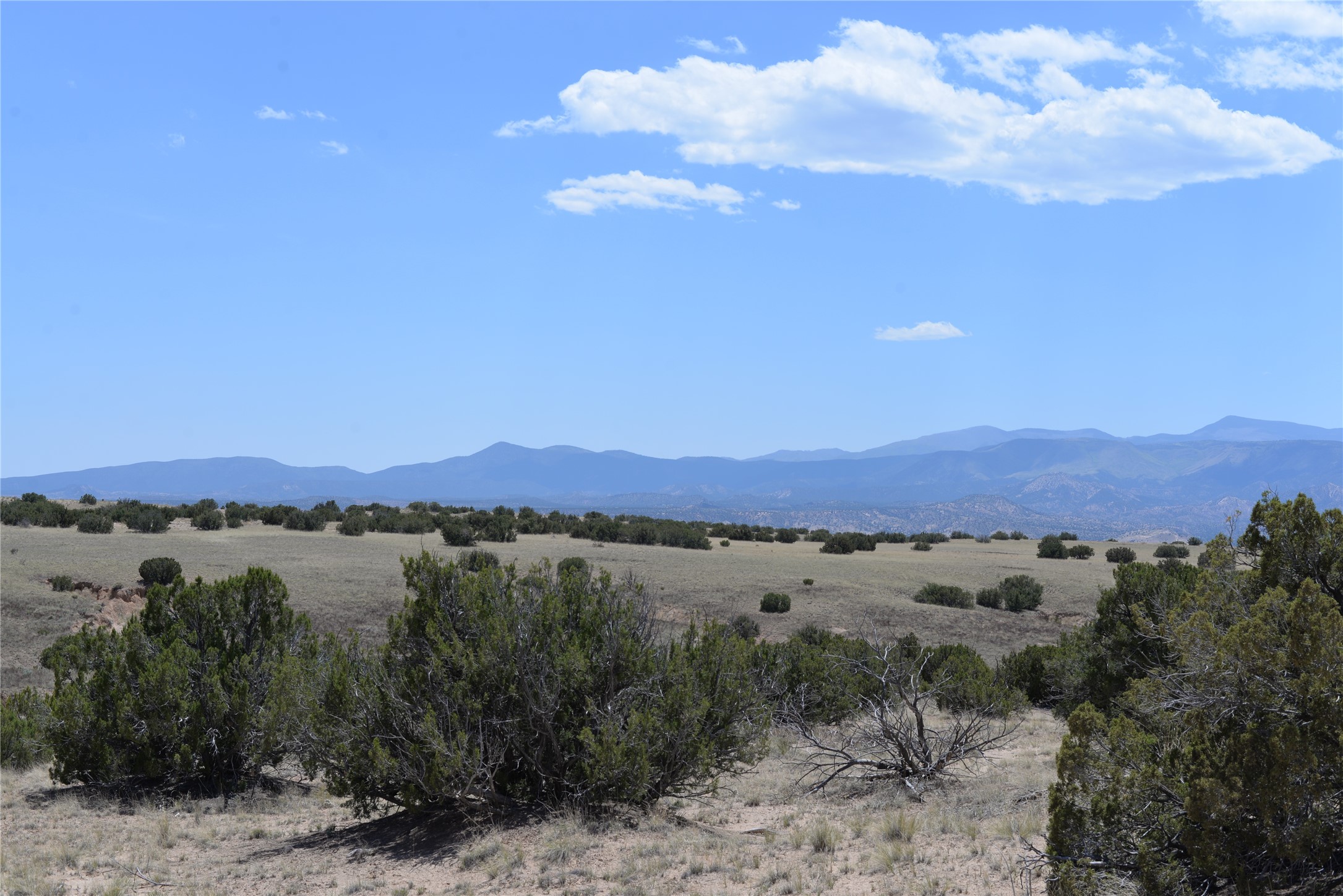 Lot B Corona Drive, Medanales, New Mexico image 27
