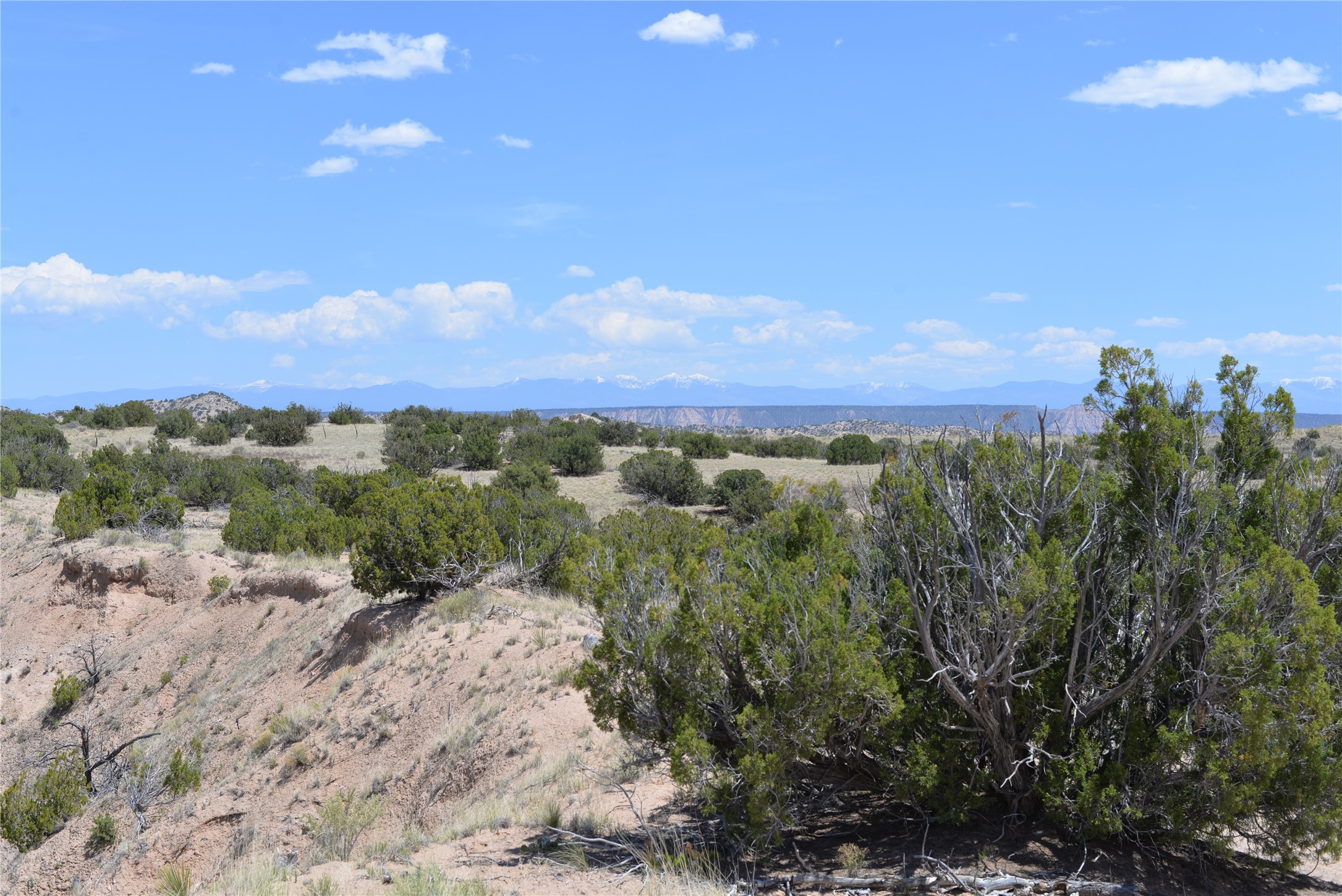 Lot B Corona Drive, Medanales, New Mexico image 24