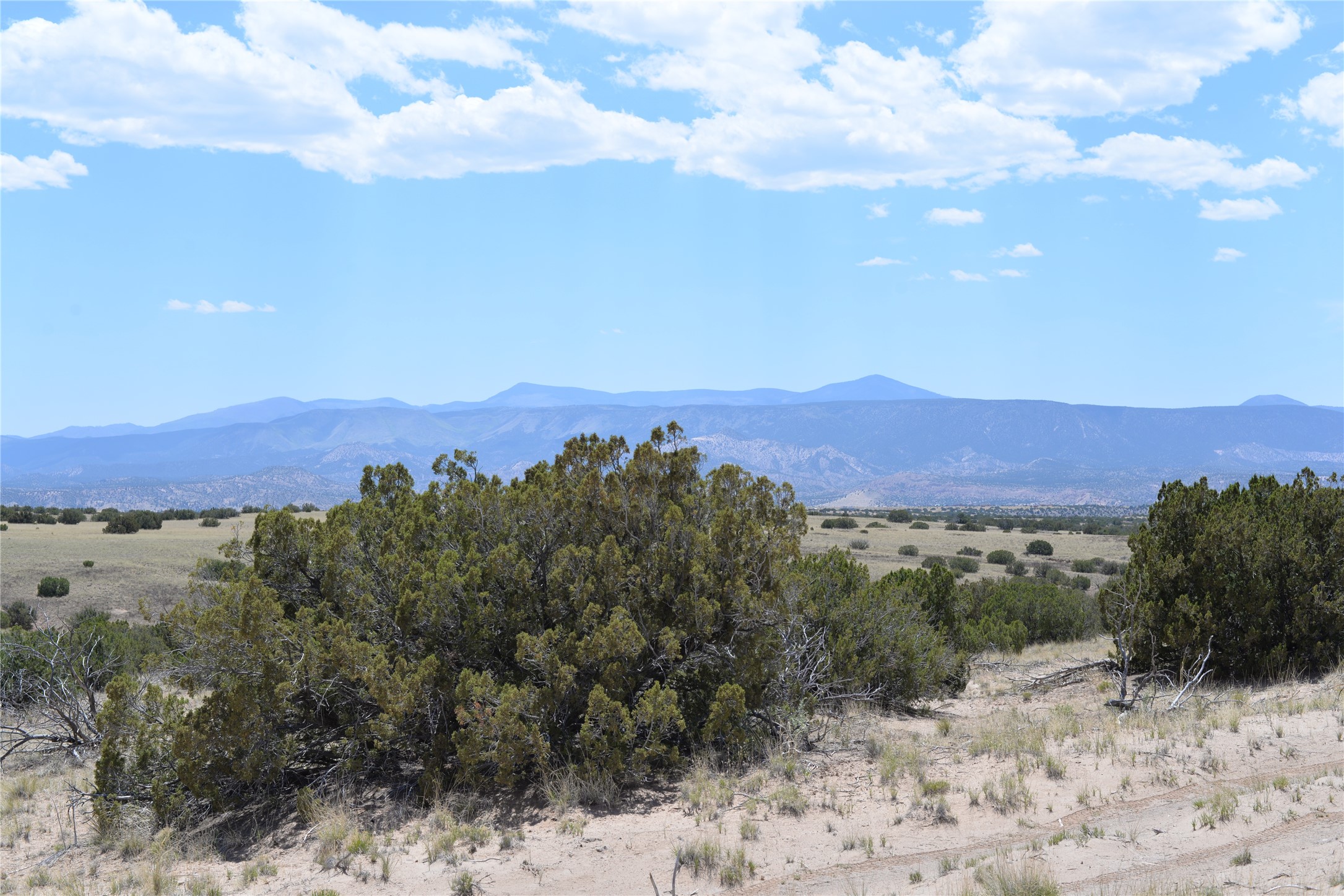 Lot B Corona Drive, Medanales, New Mexico image 25