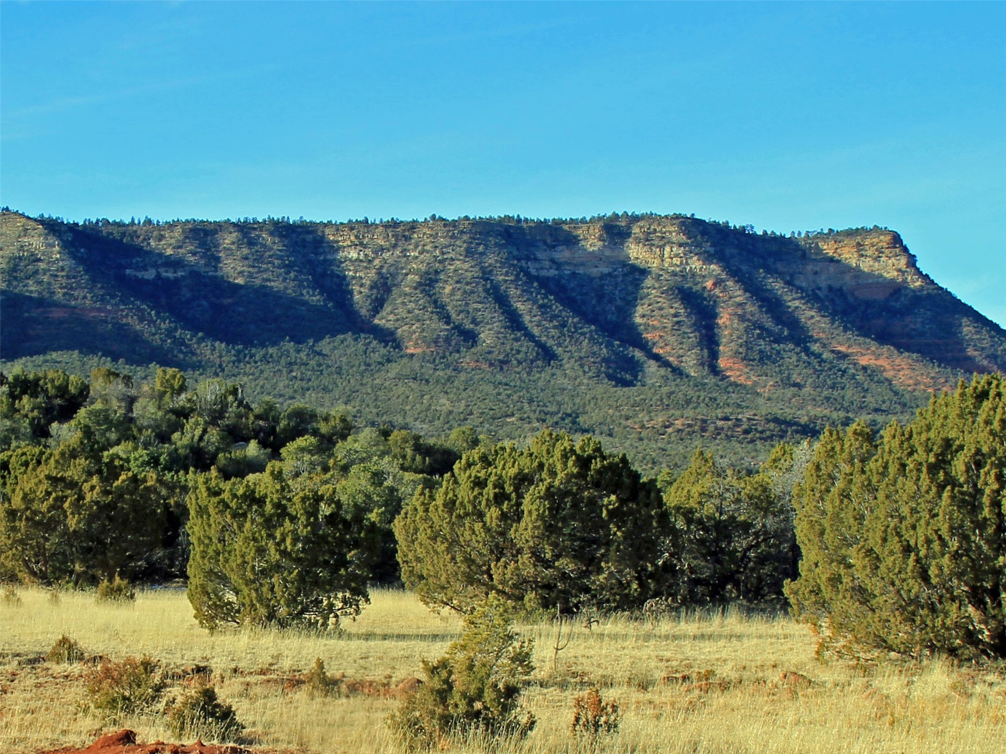 Mesa Springs Ranch, Ribera, New Mexico image 4